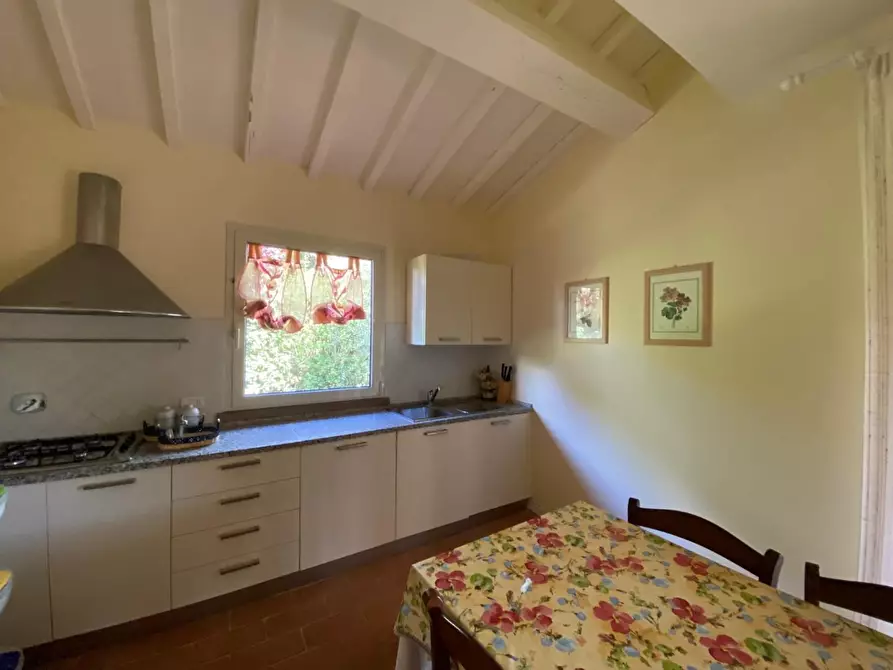 Immagine 45 di Casa colonica in vendita  a Montopoli In Val D'arno