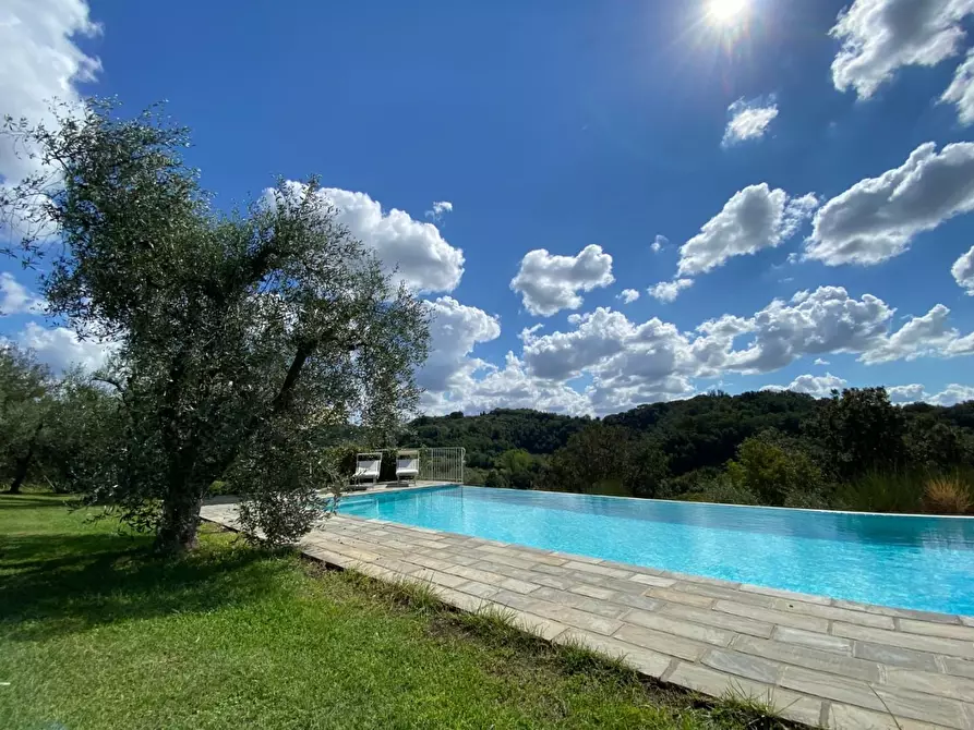 Immagine 57 di Casa colonica in vendita  a Montopoli In Val D'arno