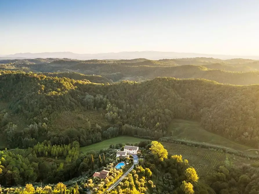 Immagine 60 di Casa colonica in vendita  a Montopoli In Val D'arno