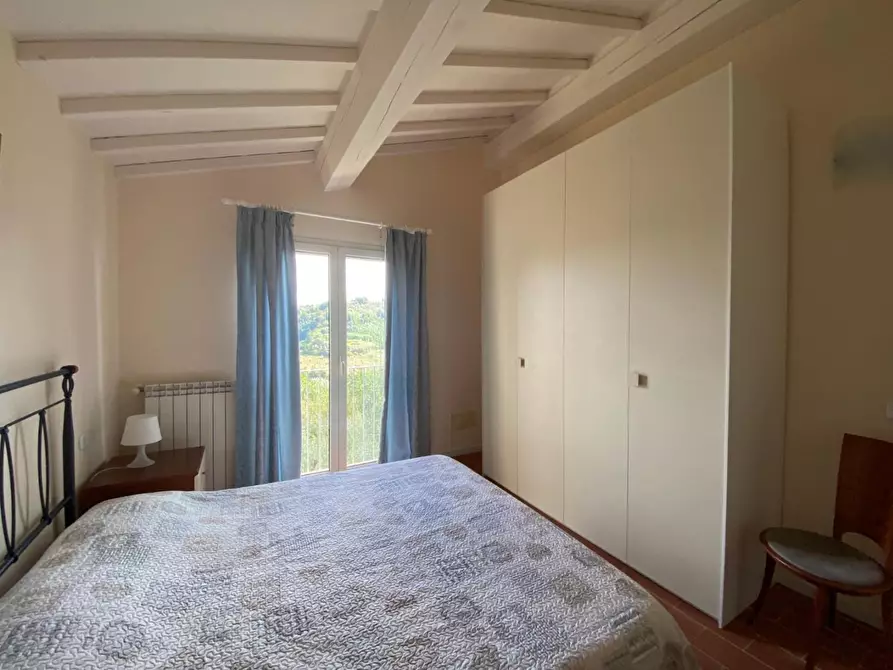 Immagine 50 di Casa colonica in vendita  a Montopoli In Val D'arno