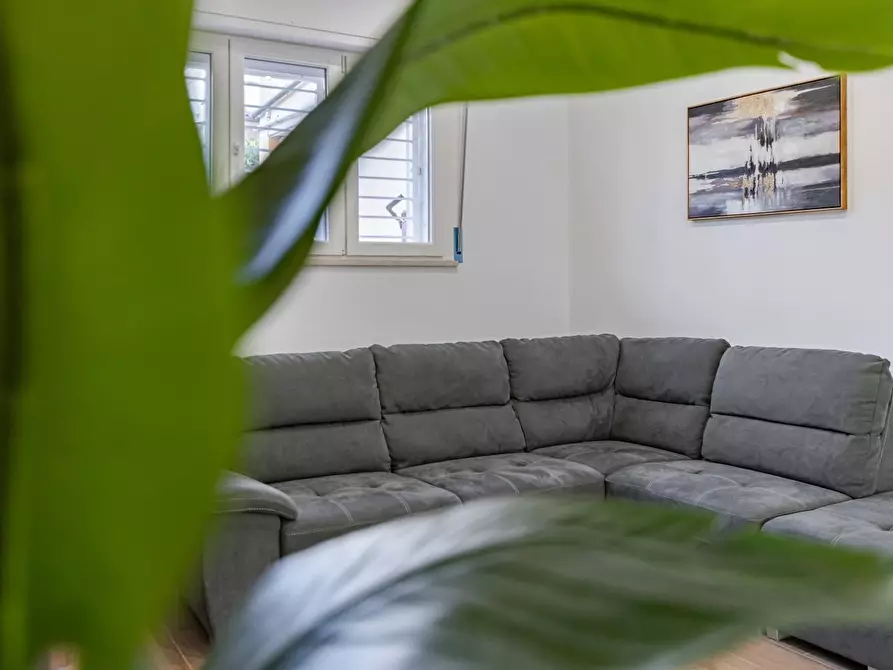 Immagine 10 di Appartamento in affitto  a San Vincenzo