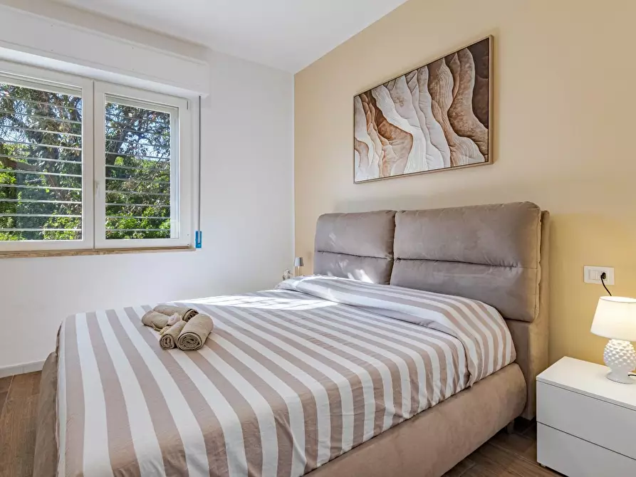 Immagine 14 di Appartamento in affitto  a San Vincenzo