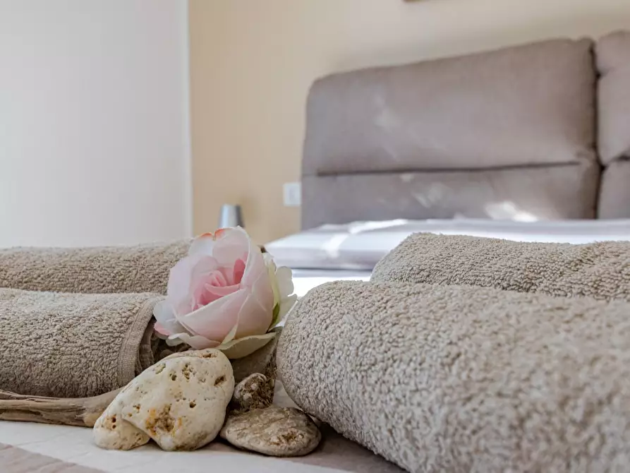 Immagine 15 di Appartamento in affitto  a San Vincenzo