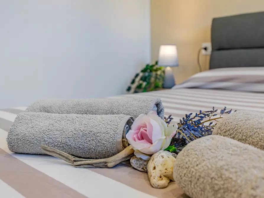 Immagine 23 di Appartamento in affitto  a San Vincenzo