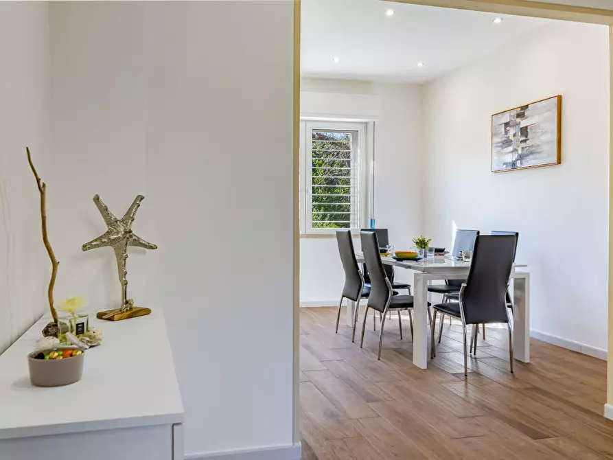 Immagine 7 di Appartamento in affitto  a San Vincenzo