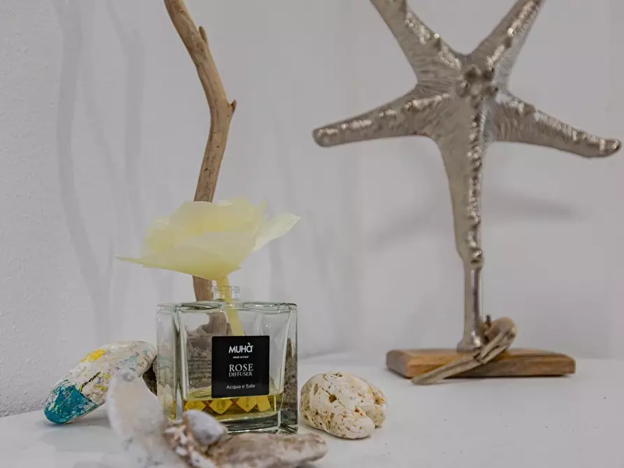 Immagine 11 di Appartamento in affitto  a San Vincenzo