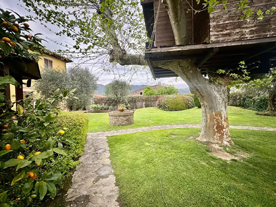 Immagine 66 di Rustico / casale in vendita  a San Giuliano Terme