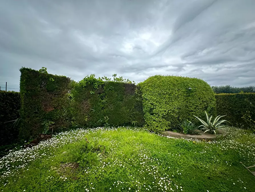 Immagine 63 di Rustico / casale in vendita  a San Giuliano Terme
