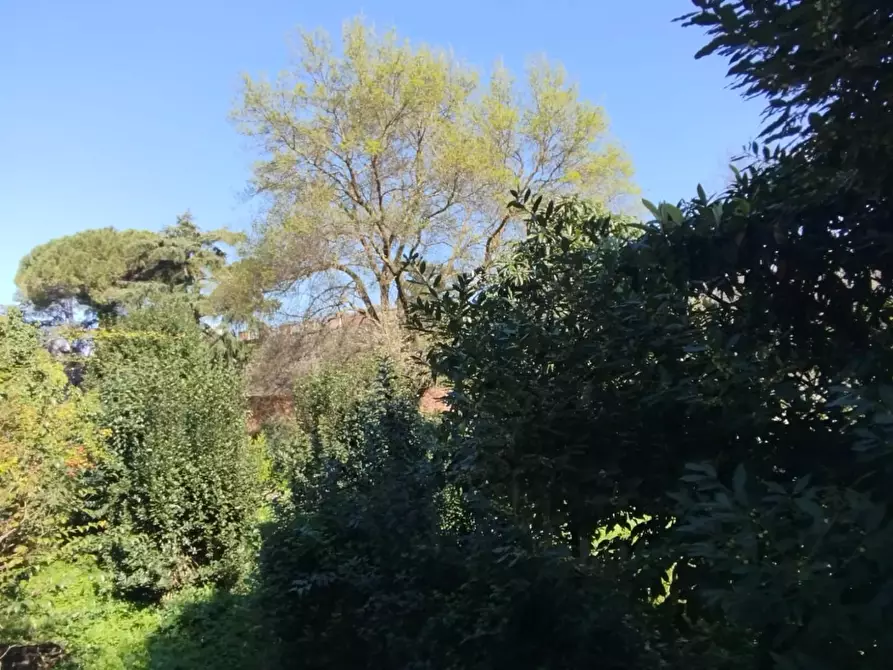 Immagine 6 di Appartamento in vendita  a Pisa