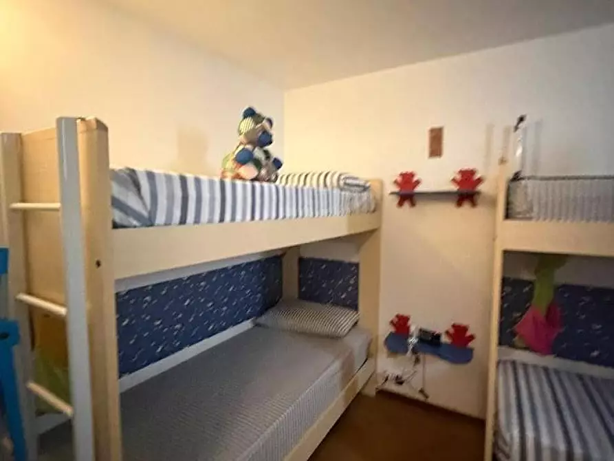 Immagine 11 di Appartamento in vendita  a Carrara