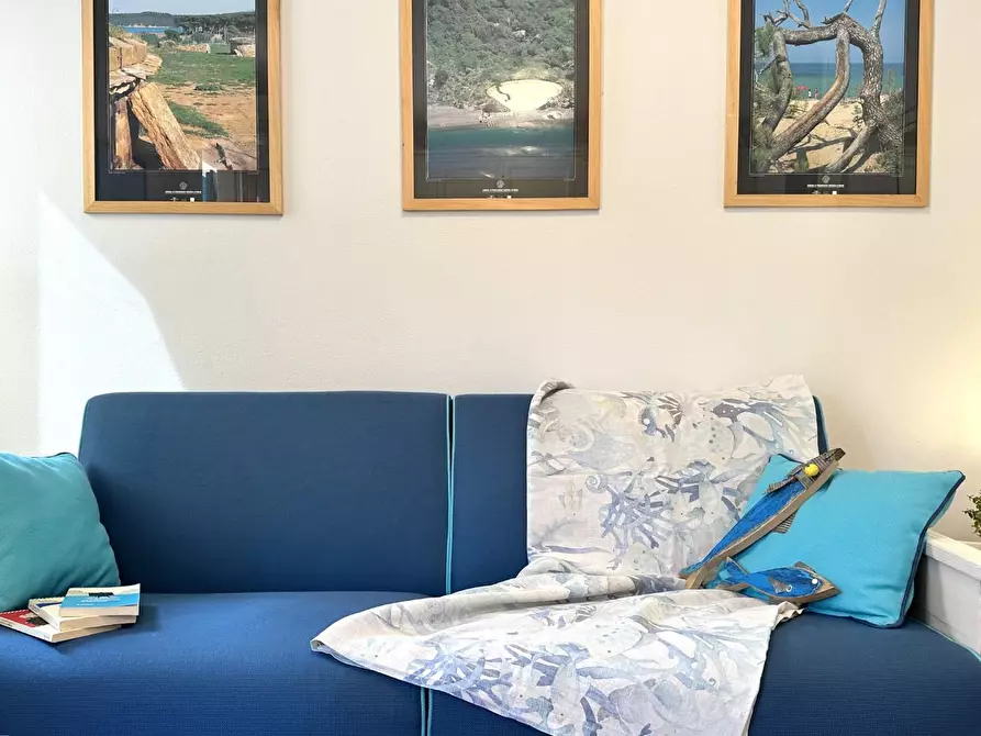 Immagine 7 di Appartamento in affitto  a San Vincenzo