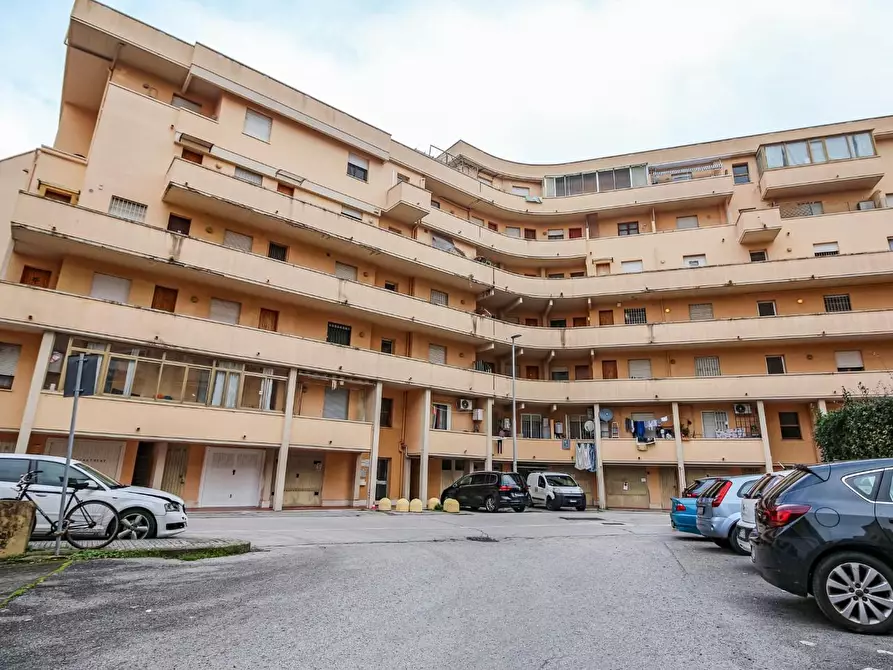 Immagine 23 di Appartamento in vendita  a Pisa