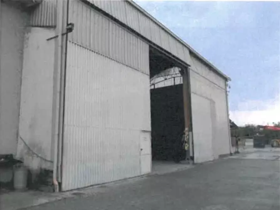 Immagine 5 di Capannone industriale in vendita  a Tortona