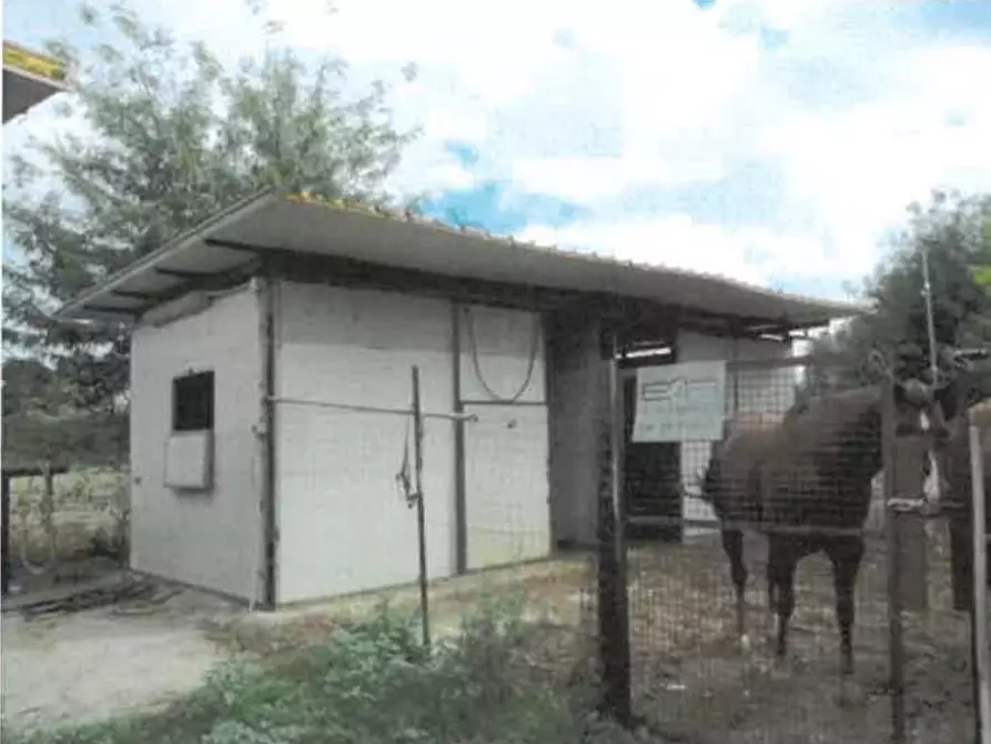 Immagine 11 di Capannone industriale in vendita  a Tortona