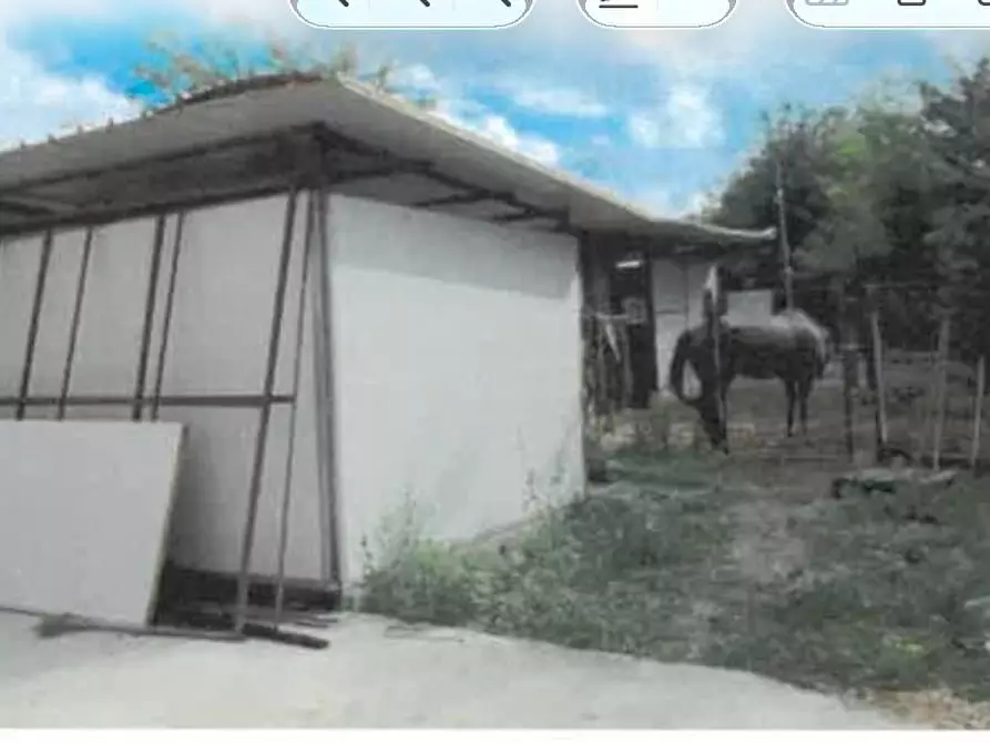 Immagine 10 di Capannone industriale in vendita  a Tortona