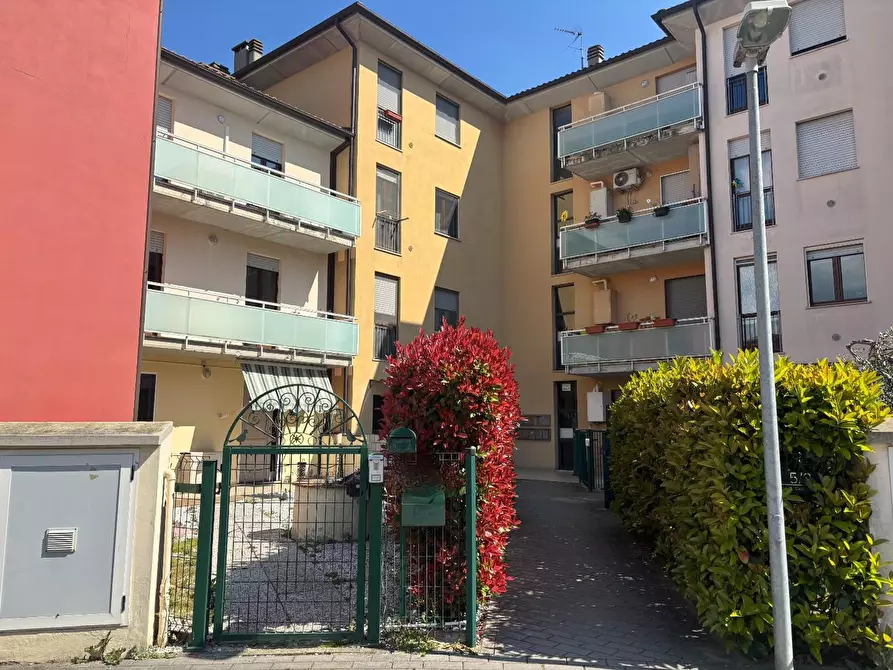 Immagine 25 di Appartamento in vendita  a Ponsacco