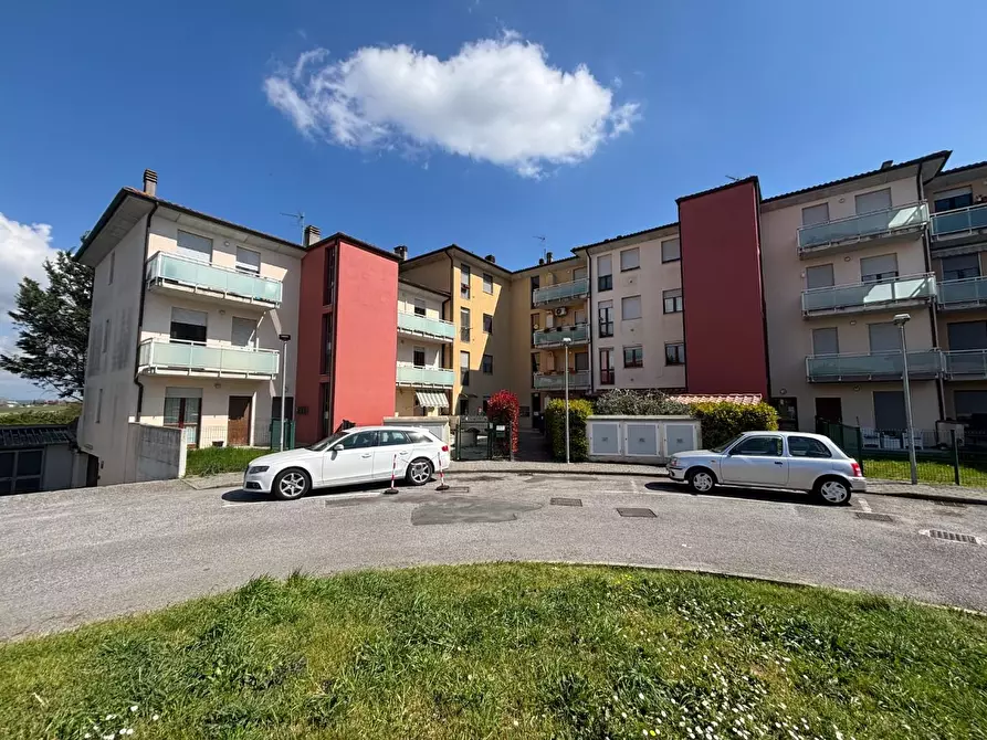 Immagine 26 di Appartamento in vendita  a Ponsacco