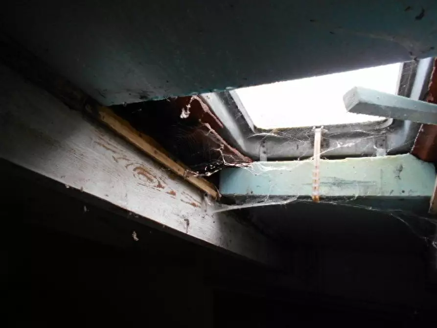 Immagine 18 di Rustico / casale in vendita  a Castelletto D'orba