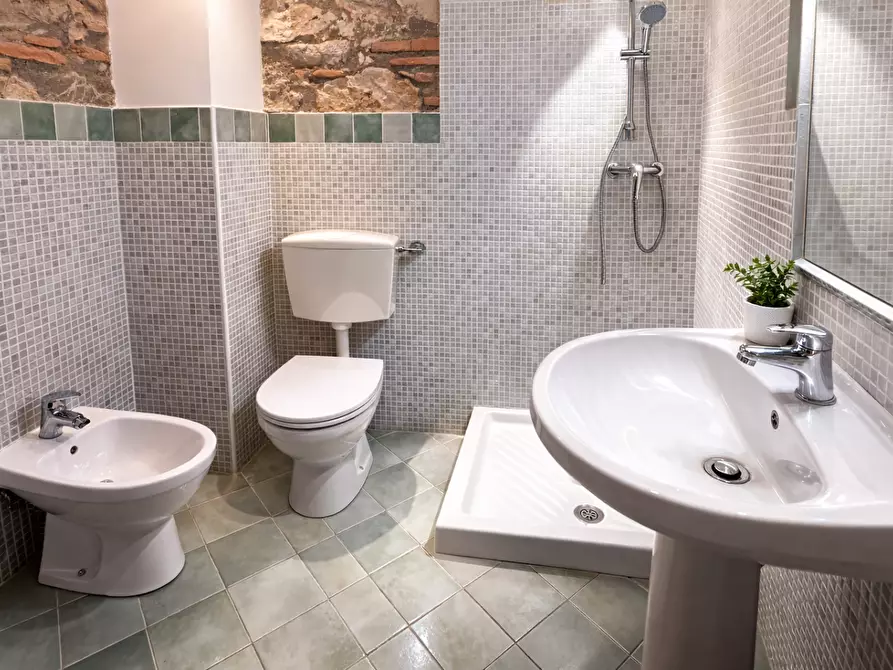 Immagine 6 di Appartamento in affitto  a Vicopisano