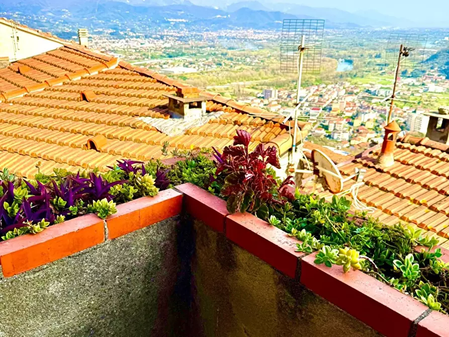 Immagine 1 di Villetta a schiera in vendita  a Arcola