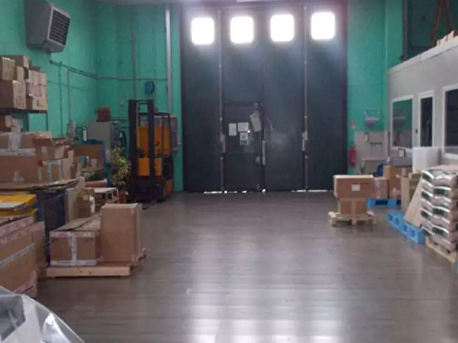 Immagine 9 di Attività artigianale in vendita  a Tortona