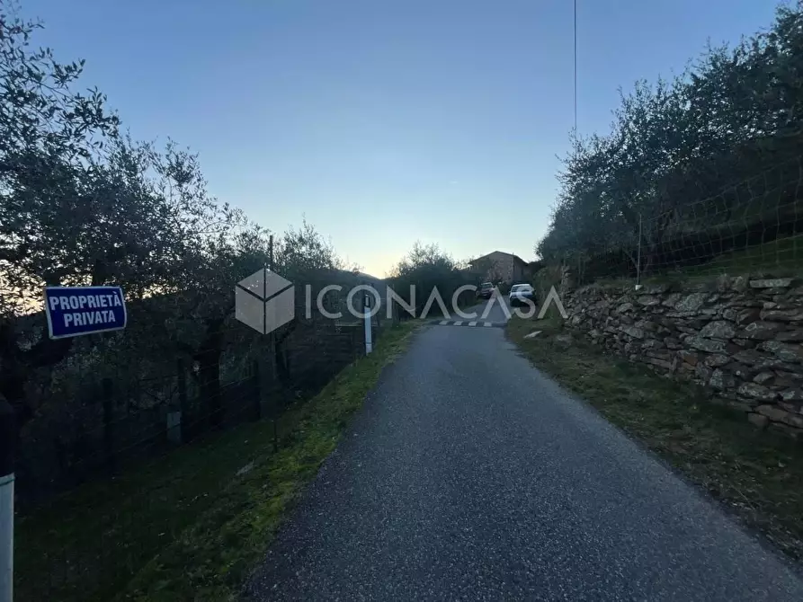 Immagine 5 di Terreno agricolo in vendita  a Buti