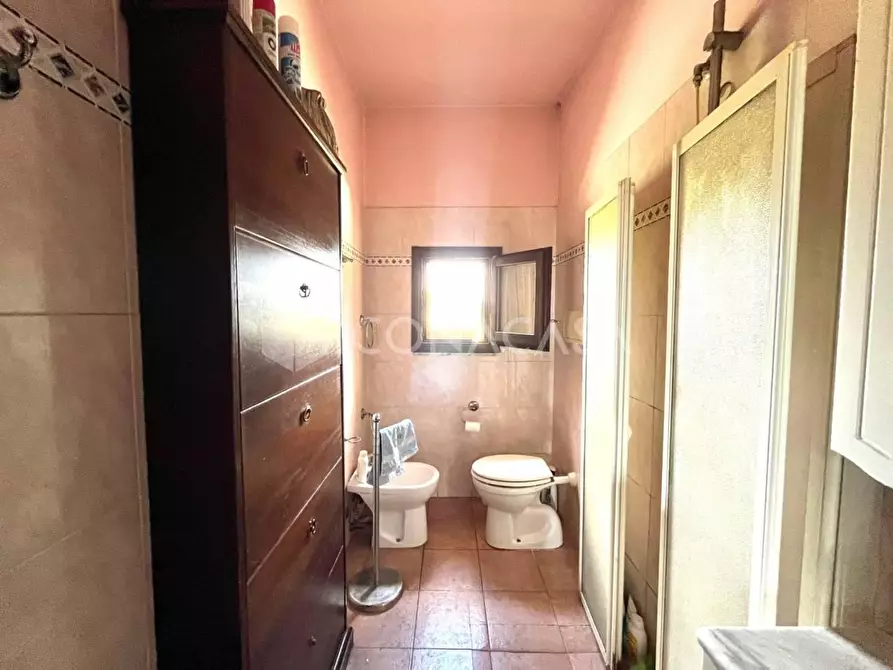 Immagine 15 di Appartamento in vendita  a Pontedera