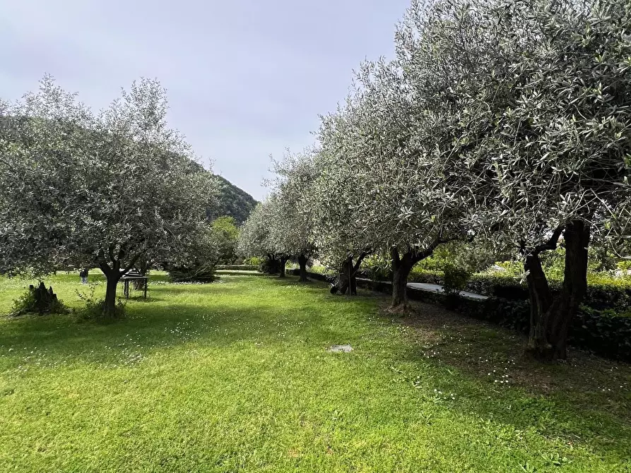 Immagine 7 di Casa bifamiliare in vendita  a Montignoso
