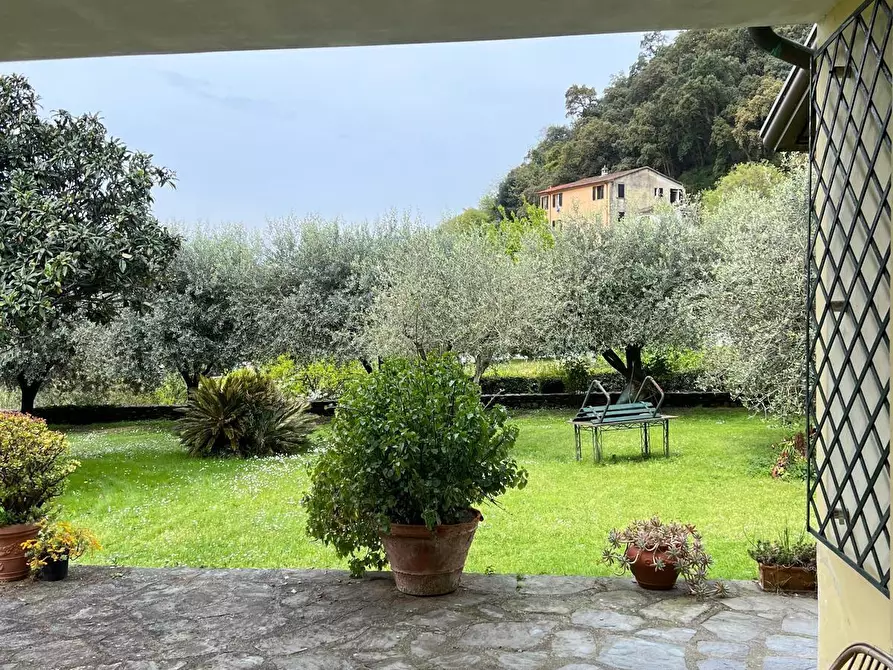 Immagine 6 di Casa bifamiliare in vendita  a Montignoso