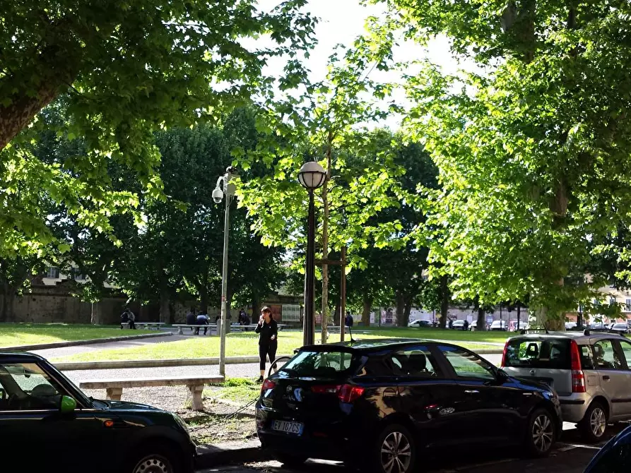 Immagine 13 di Appartamento in affitto  a Pisa