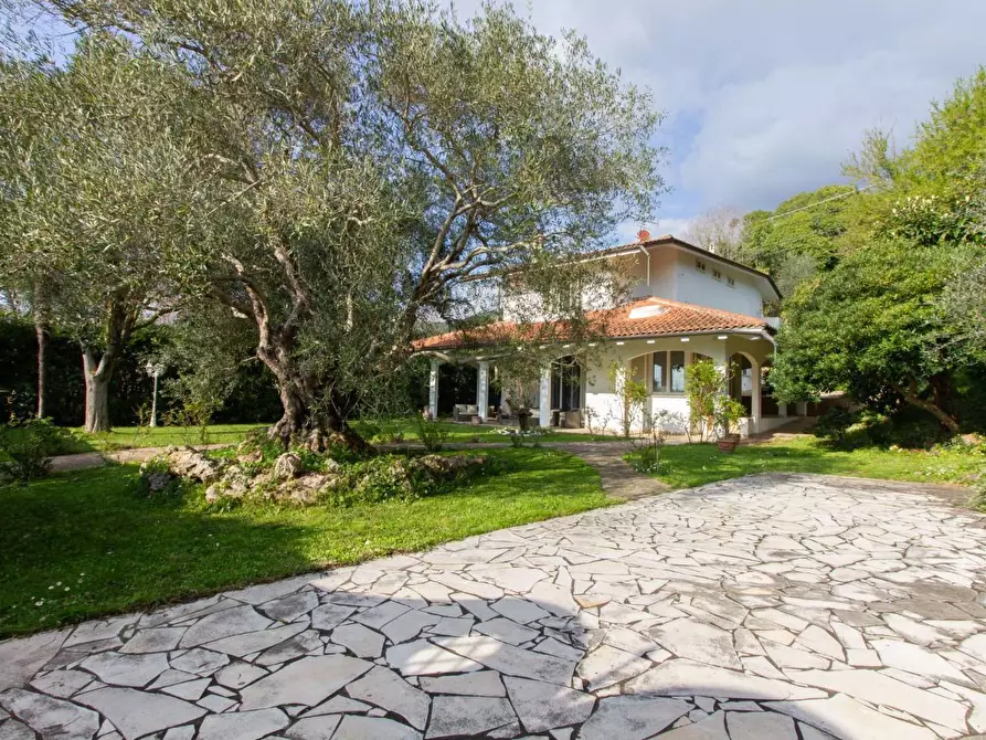 Immagine 52 di Villa in vendita  a San Giuliano Terme