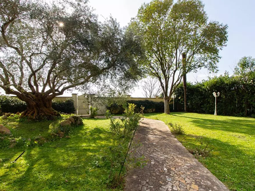 Immagine 5 di Villa in vendita  a San Giuliano Terme