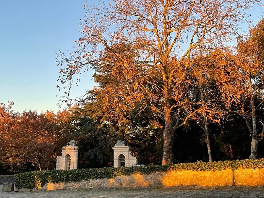 Immagine 8 di Appartamento in vendita  a Calcinaia