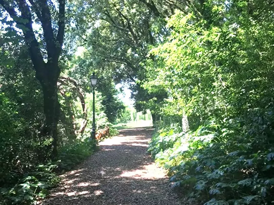 Immagine 12 di Appartamento in vendita  a Calcinaia