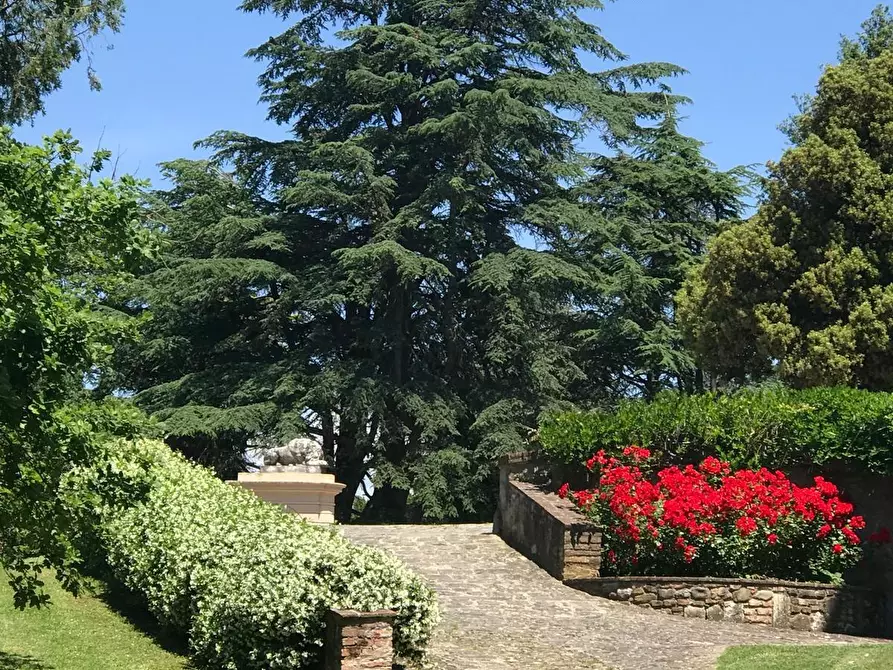 Immagine 3 di Appartamento in vendita  a Calcinaia