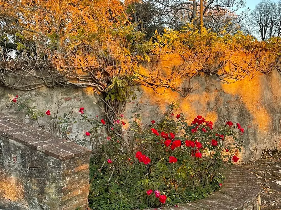 Immagine 5 di Appartamento in vendita  a Calcinaia