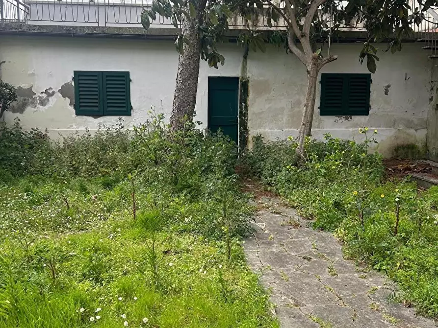 Immagine 9 di Terratetto in vendita  a Empoli