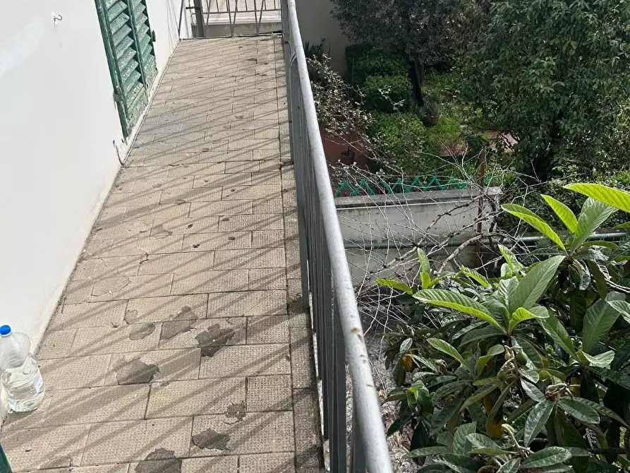 Immagine 25 di Terratetto in vendita  a Empoli