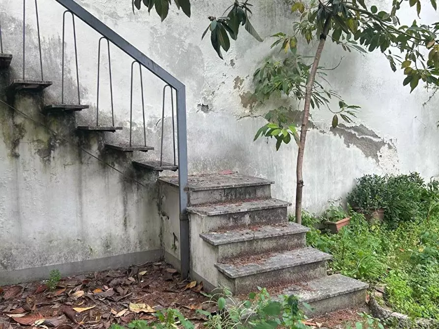 Immagine 4 di Terratetto in vendita  a Empoli