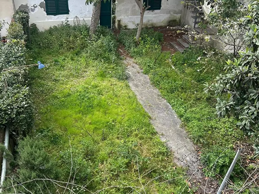 Immagine 23 di Terratetto in vendita  a Empoli
