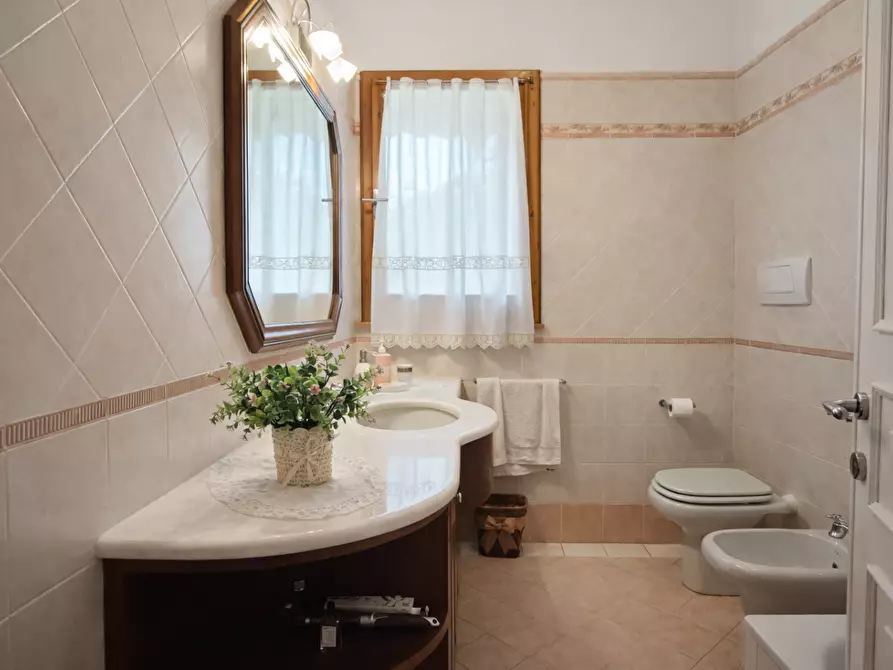 Immagine 5 di Villa in affitto  a Forte Dei Marmi