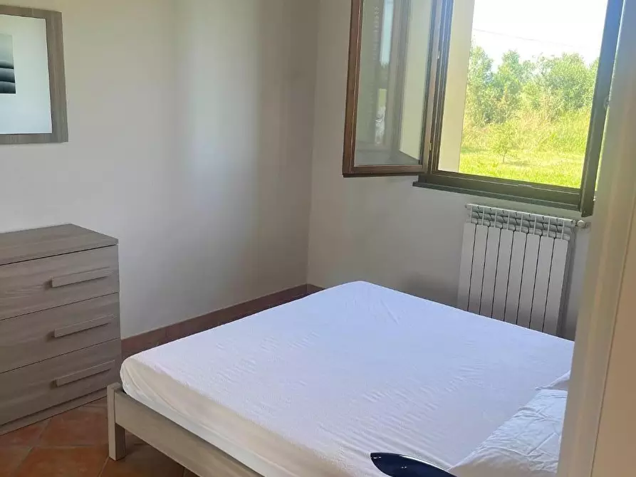 Immagine 5 di Appartamento in vendita  a Cascina