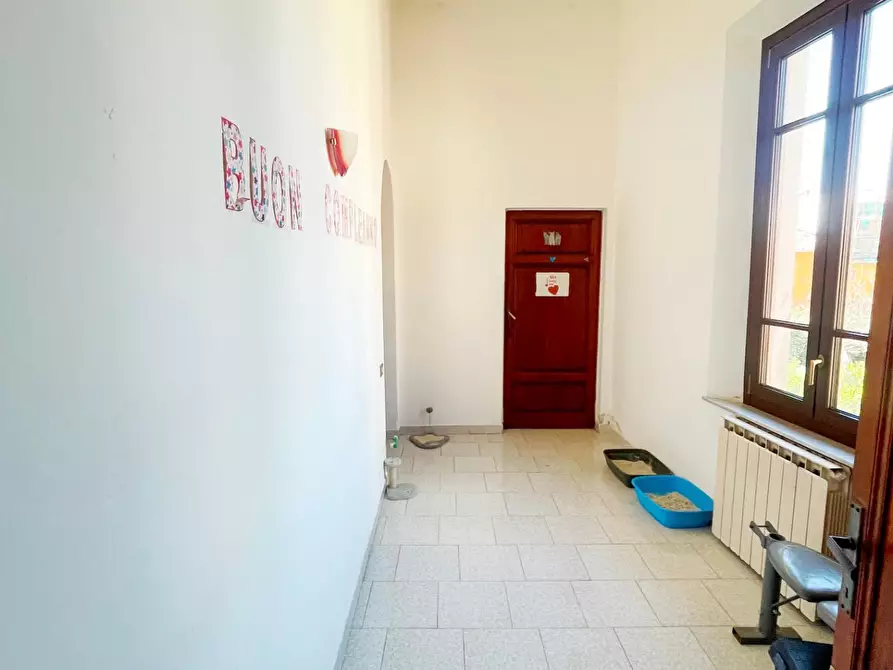 Immagine 7 di Appartamento in vendita  a Vicopisano