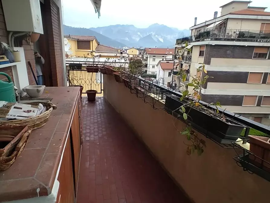 Immagine 18 di Appartamento in vendita  a Carrara