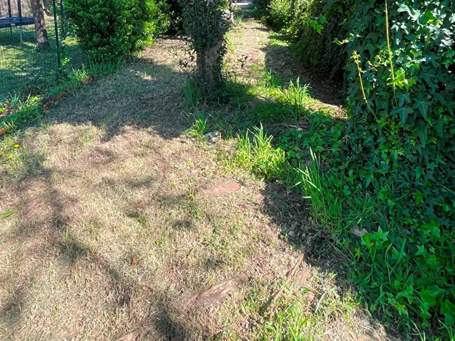 Immagine 32 di Casa indipendente in vendita  a Vicopisano