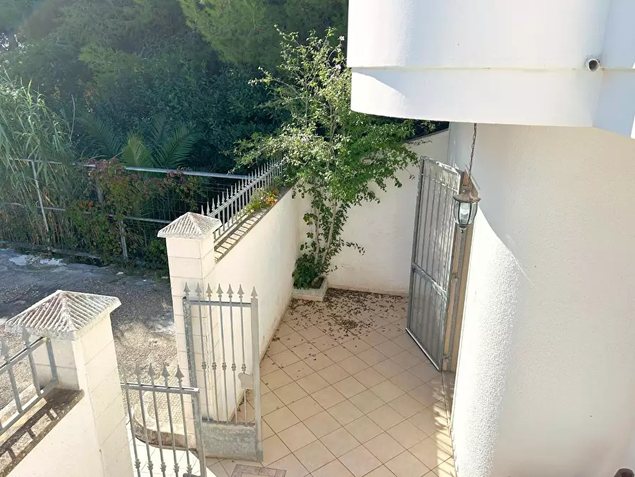 Immagine 21 di Casa indipendente in vendita  a Porto Cesareo