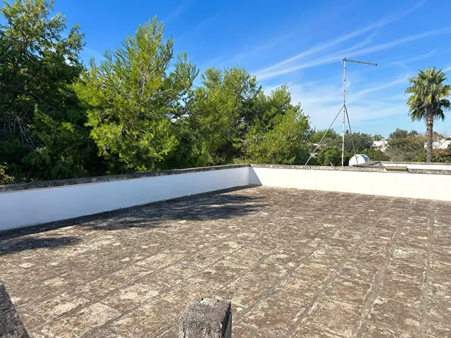 Immagine 24 di Casa indipendente in vendita  a Porto Cesareo