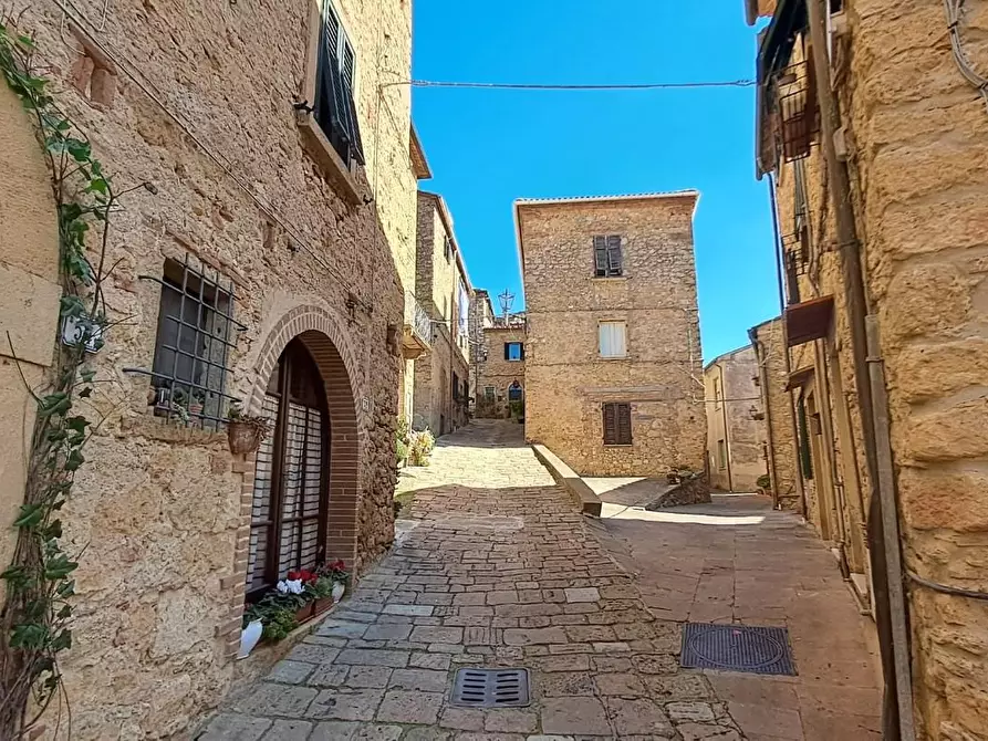 Immagine 2 di Appartamento in vendita  a Casale Marittimo