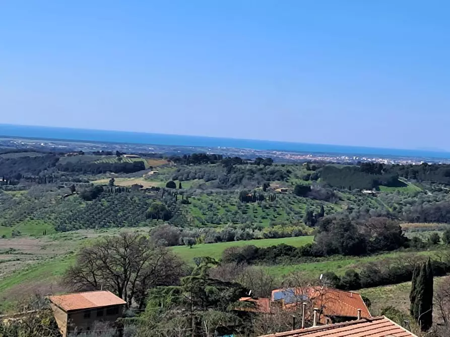 Immagine 32 di Appartamento in vendita  a Casale Marittimo