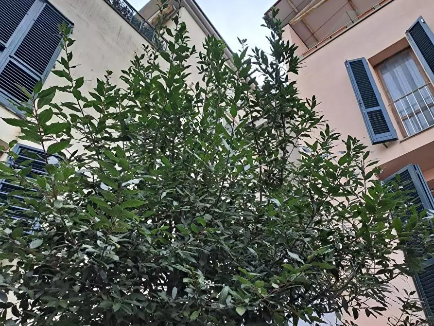 Immagine 29 di Villetta a schiera in vendita  a Fiesole